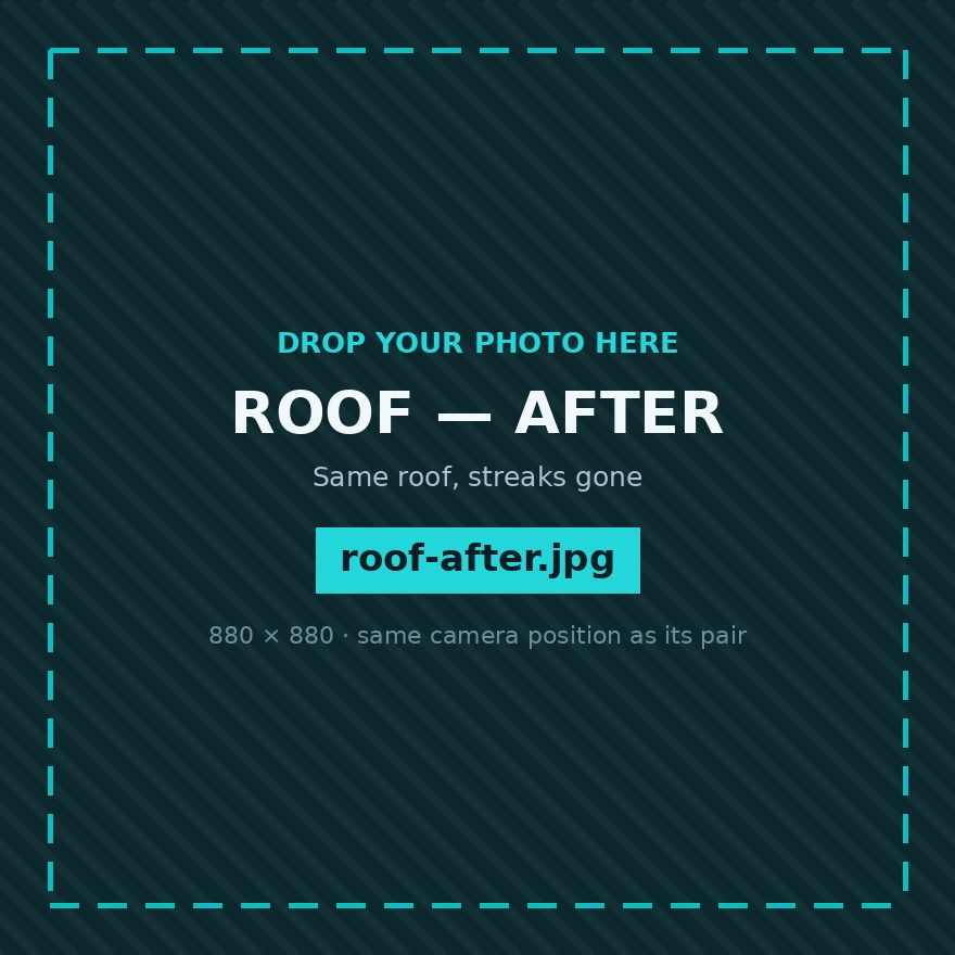 The same roof after low-pressure soft washing, black streaks removed